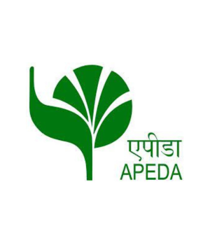 APEDA Logo